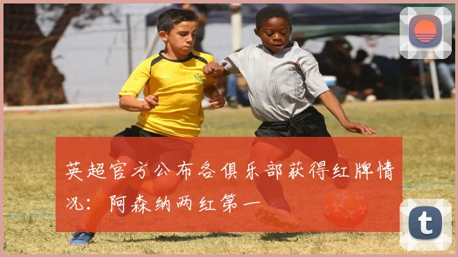 英超官方公布各俱乐部获得红牌情况：阿森纳两红第一